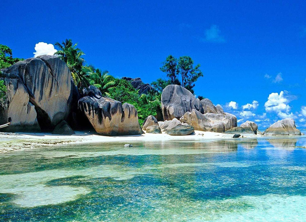 Underwater Fun in The Bahamas