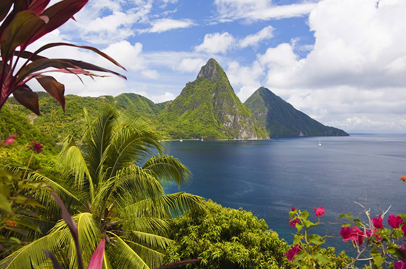 The Iconic Saint Lucia Piton