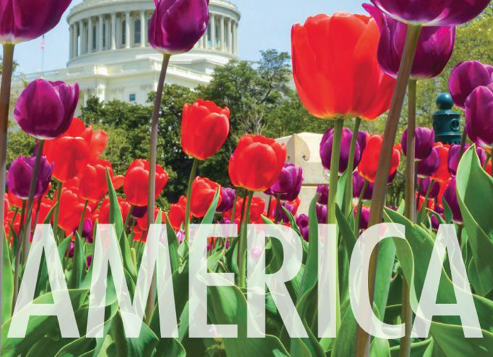 Discover The United States 