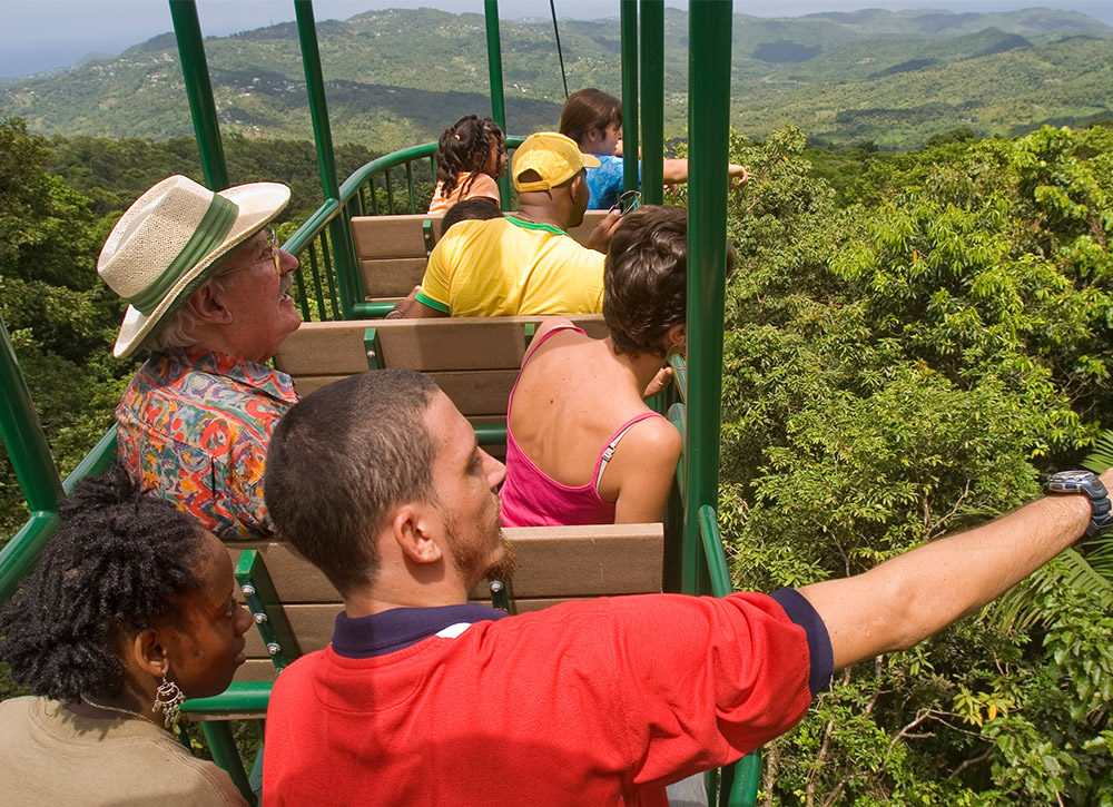 Saint Lucia Tour of the Rainforest